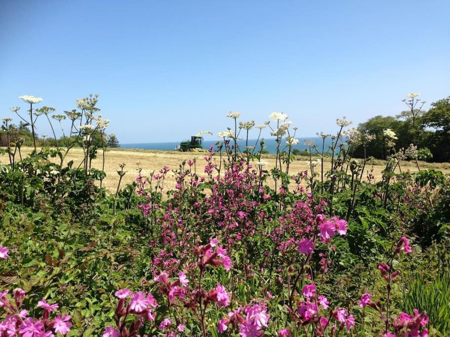 Little Bream - Pretty Cosy Cottage, Sea Views, Walk To The Beach Mawnan Smith Exterior photo